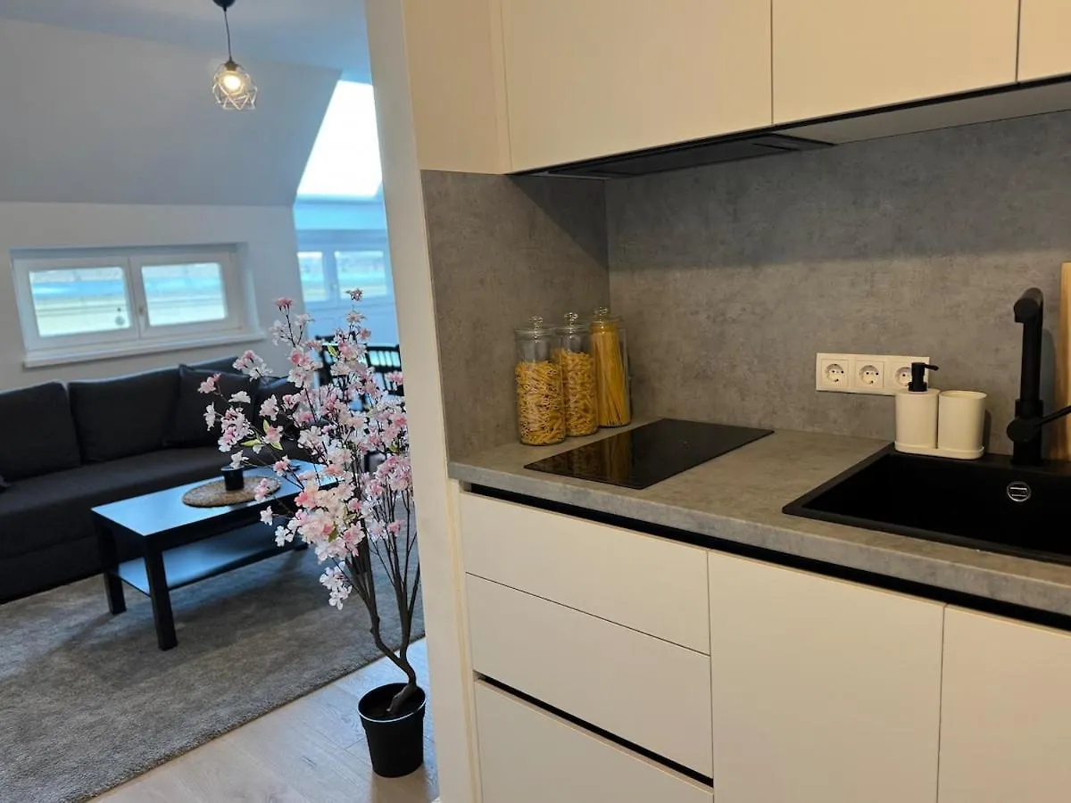 Train Station, Kahlenberg, Historic, Danube - Axara Housing Fhg 16 Apartment Vienna 0*,
